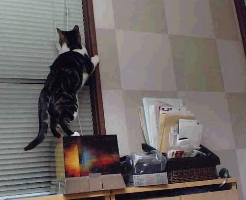 “英超争夺战失误频发,榜首格局摇摆不定”,“英超”