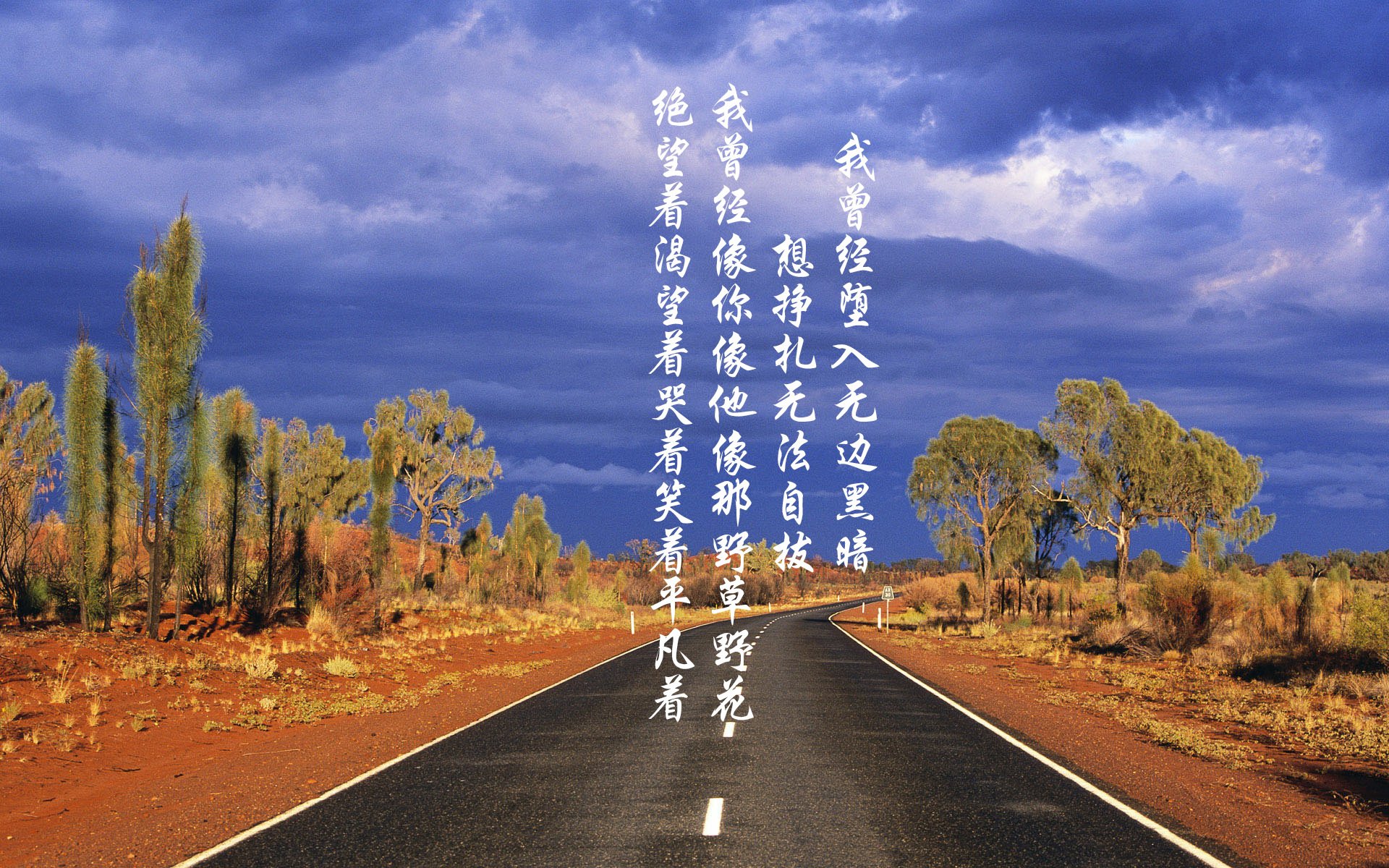 埃因霍温主帅赛后精彩发言,球队士气高涨备战,埃因霍温 主教练