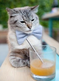 尼克斯险胜雷霆,全明星赛前哨战中布伦森三分雨不断,尼克 布里科斯