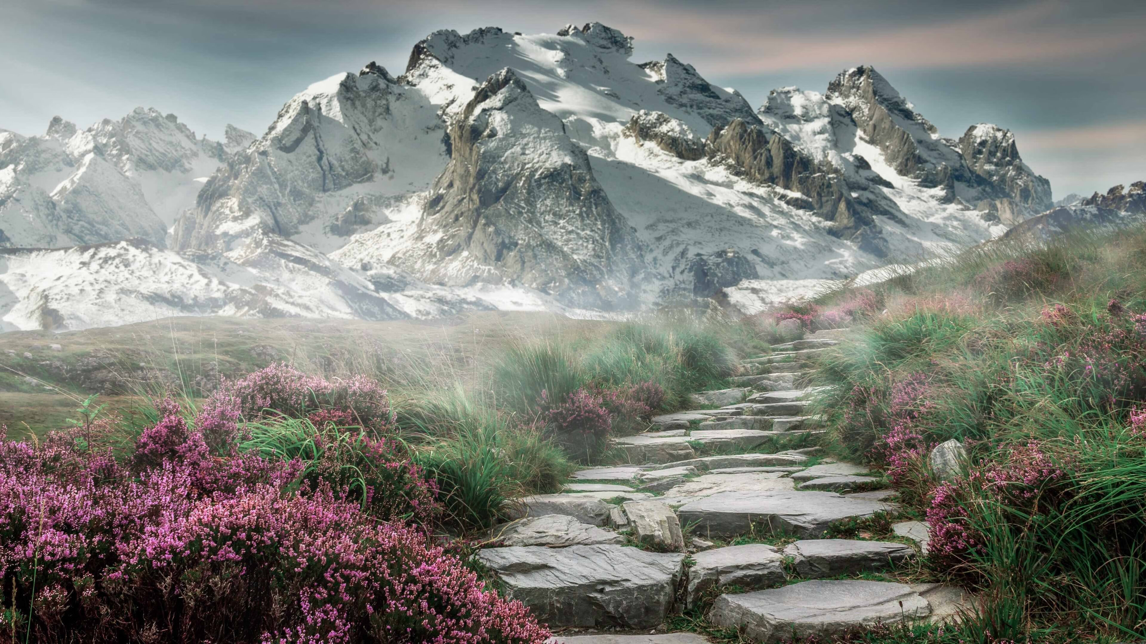 澳大利亚队领先阿曼队,晋级世界杯预选赛次轮,澳大利亚对阵阿曼