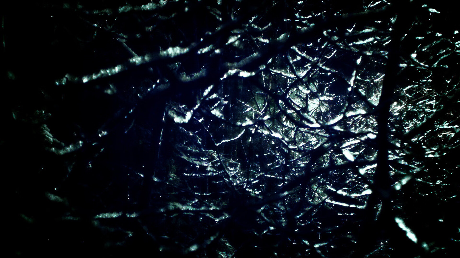 九游下载中心-米尔沃尔反击精准，狮子军团全力抢分，米尔沃尔球迷