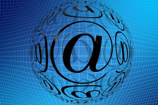 JIUYOU GAMING-中国篮球职业联赛青训体系创新发展模式分析，中国青年篮球队