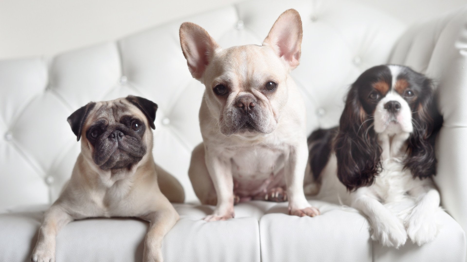 九游官网pc-“自由人”机制释放中场创造力