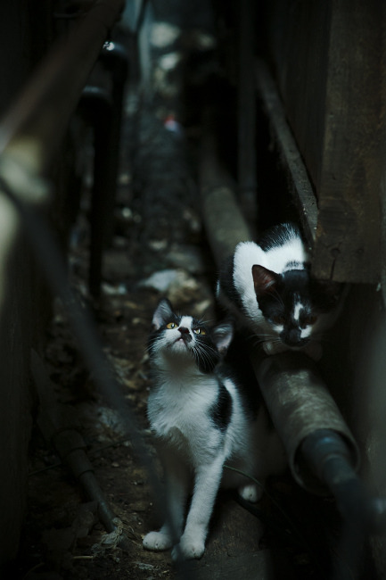 中国男篮针对弱点制定专项训练计划,中国男篮很弱吗