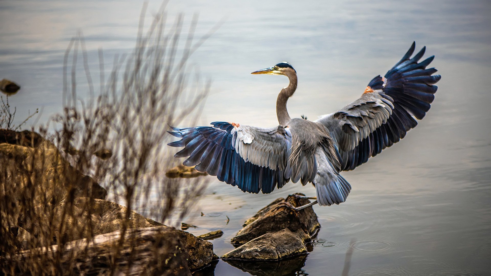 中国青年队出战中超联赛 晋级表现受关注,中超青年csly