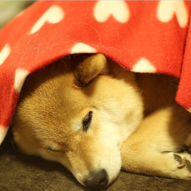 广东队通过压迫防守迫使对手频繁失误，广东队反击