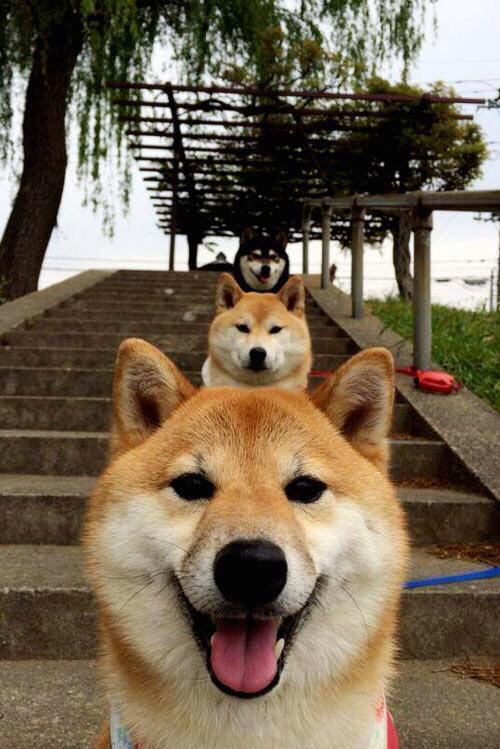 九游网页版官网-疫情后首个主客场赛季重启球迷热情高涨，疫情后nba季后赛规则