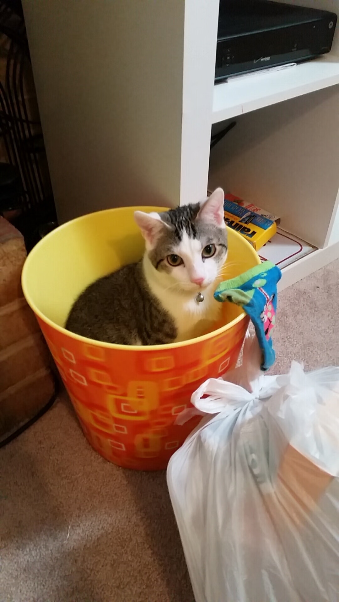 边路爆点选手能否改变五大联赛进攻格局，边路爆点选手能否改变五大联赛进攻格局的方向