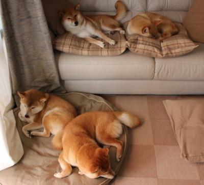 凯尔·查默斯技术动作精准完美,查尔斯&凯斯