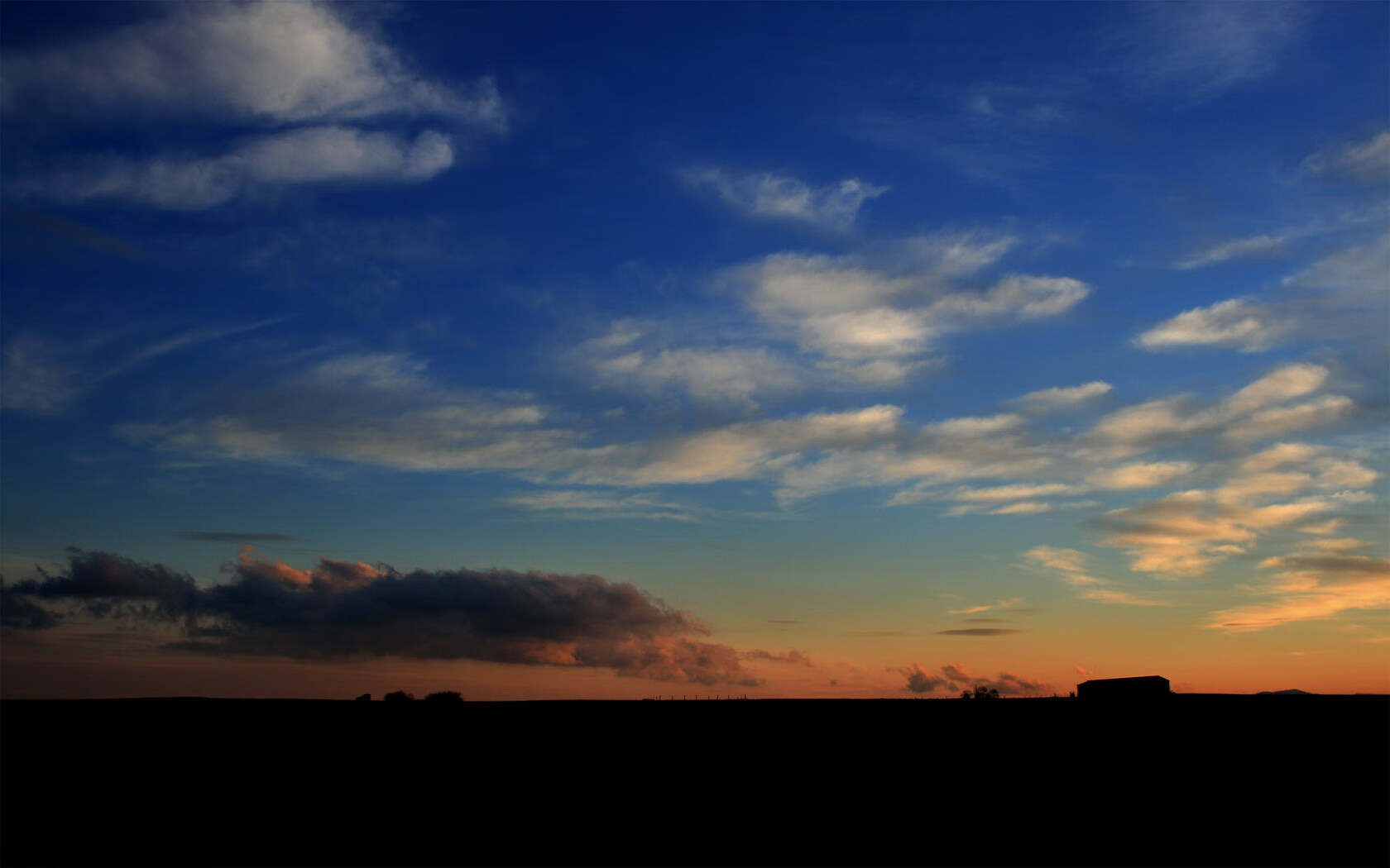 女子篮球联赛冠军争夺焦点，女子篮球冠军是谁
