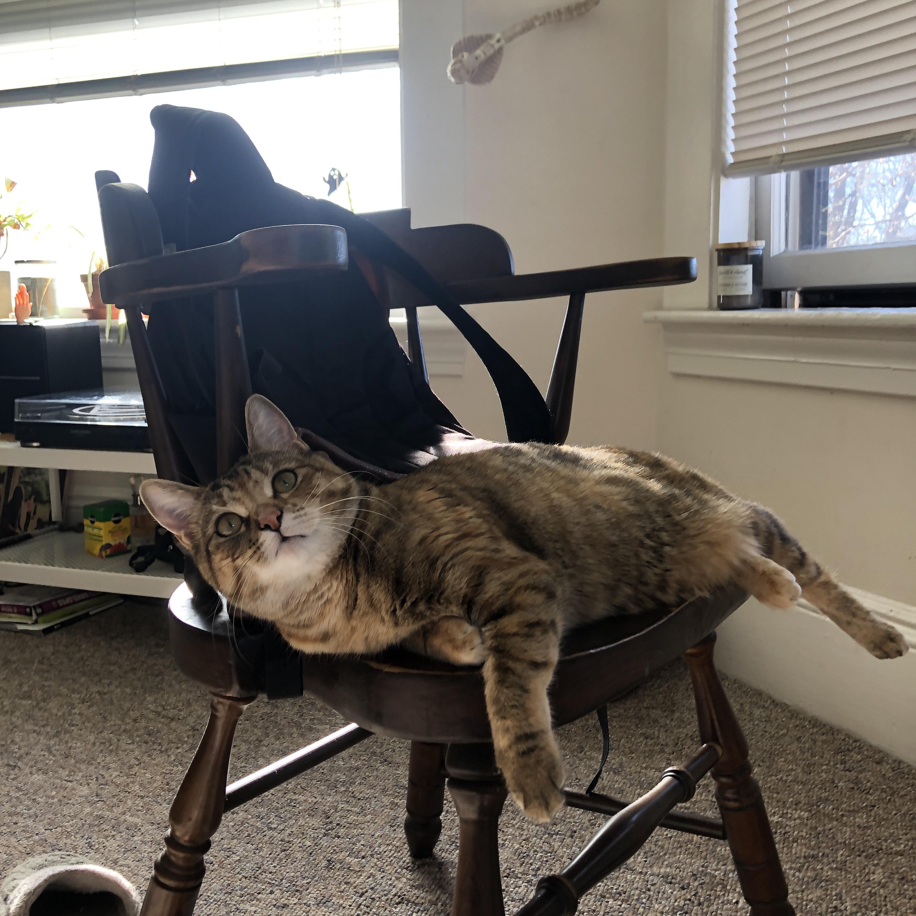 九游(jiuyou)官方网站-托里·哈斯克突破自我刷新纪录，哈里斯托克曼发表的