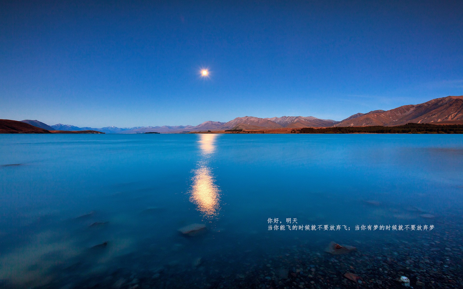 法国新星崭露头角,球队实现年轻化