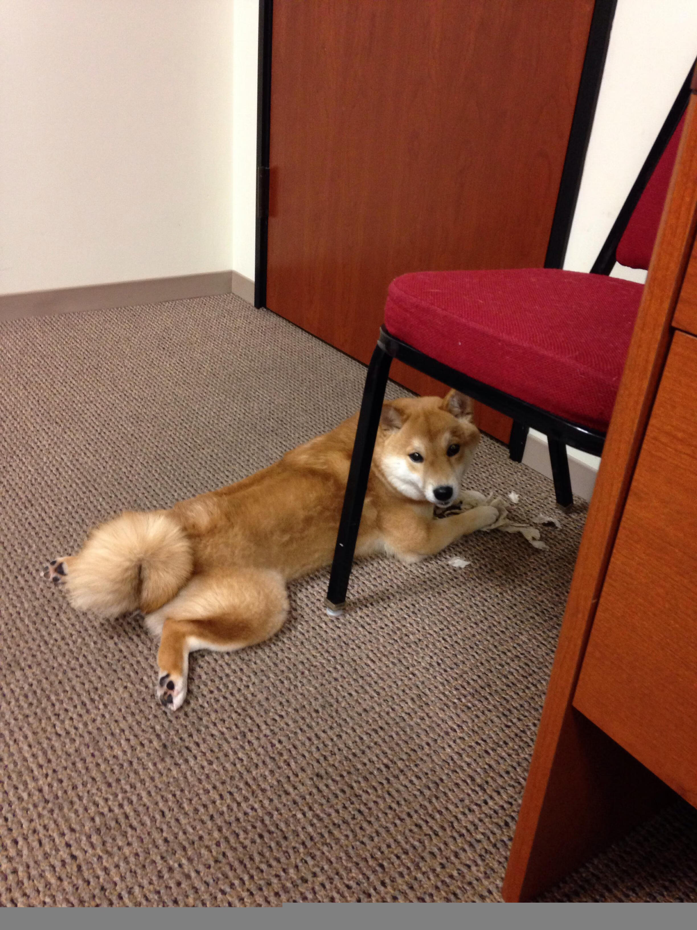 九游APP官网-西班牙青年队在欧洲青年赛事中表现出色，潜力无限